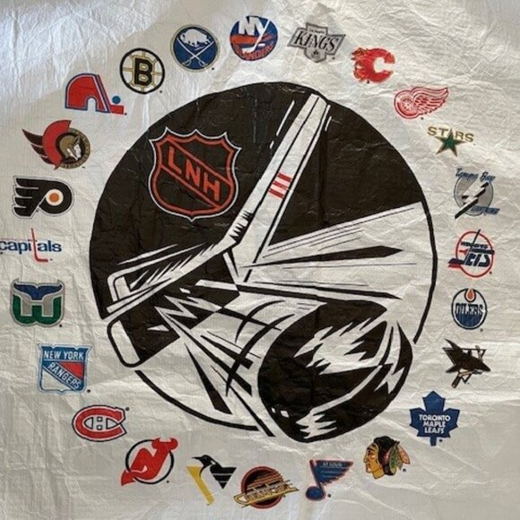 Vtg. 1993 TYVEK ZIP WINDBREAKER Stanley Cup HOCKEY & KELLOGG'S Promo COLLECTIBLE - Picture 4 of 9